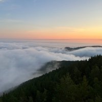 утро :: Николай Шерстнев