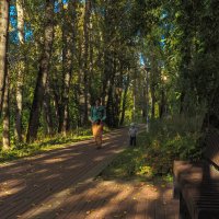 ***** :: юрий поляков