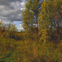 природа :: סּﮗRuslan HAIBIKE Sevastyanovסּﮗסּ