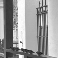 К построение готовы. :: Любимова Ольга 