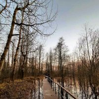 Печаль :: Хватова Марина 