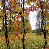 Сквозь :: Хватова Марина 