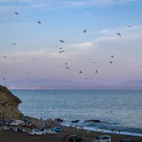 ... :: Жора Житников