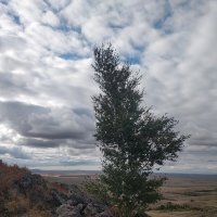 Горный ветер :: Андрей Хлопонин