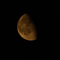 *** :: Иван Литвинов