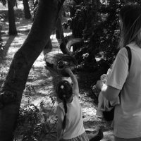 .... :: Юрий Самсонов