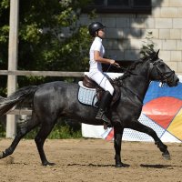 Красота и Грация! :: Александр Гриднев