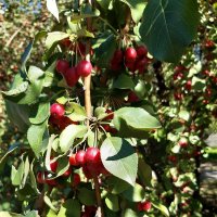 В городе осенью :: Галина Минчук В городе осенью :: Галина Минчук