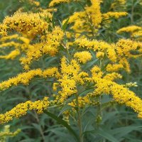 В городе осенью :: Галина Минчук В городе осенью :: Галина Минчук