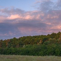 На рассвете :: Наталья Димова