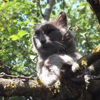 ** :: Зоя Мишина