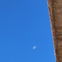 Луна :: Любимова Ольга 