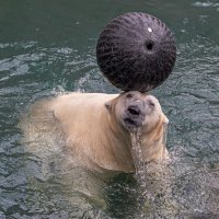 Кай :: Михаил Измайлов