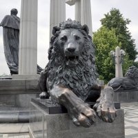 Львы у памятника Александру II :: Татьяна Машошина