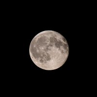 .... :: Павел Катков