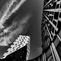 **** :: Алексей Архипов