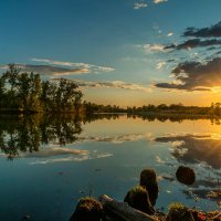 Закат на ерике Гнилой. Волго-Ахтубинская пойма. :: Дина Евсеева