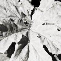 ... :: Денис Безногов ... :: Денис Безногов