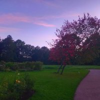 Закат :: Сапсан 