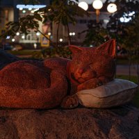 В Боровичах дали кличку керамическому рыжему коту, его скульптуру установили в Керамик-парке :: Александр Филатов В Боровичах дали кличку керамическому рыжему коту, его скульптуру установили в Керамик-парке :: Александр Филатов