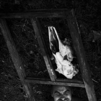 Fear is the most ancient and powerful of human feelings, and the most ancient and powerful fear is t :: Римский Шершень Hornet