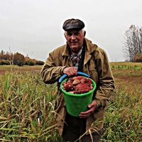 Сентябрь....С  грибами! :: Владимир 