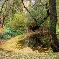 Тот самый старинный пруд,,, :: Анатолий Колосов