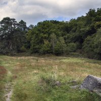 У камня :: Андроник Александр 