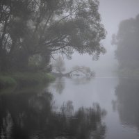 **** :: Елизавета .