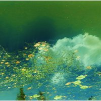 ОСЕНЬ... :: Elvira E. ОСЕНЬ... :: Elvira E.