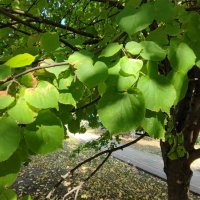 ... :: Сергей Тимоновский