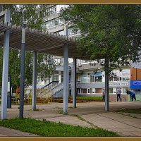 Благоустройство двора :: Владимир Кроливец