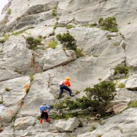 вверх по кошке :: Ольга 