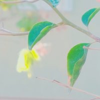 13  ОПЕН (346) :: OPEN WAYS ALL