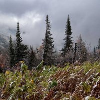 Шерегеш сегодня :: Валерий Михмель 