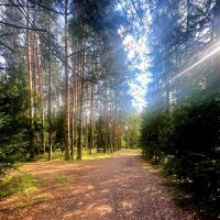 Подмосковье :: Любимова Ольга 