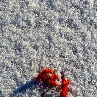 Постановочное фото :: Хватова Марина 