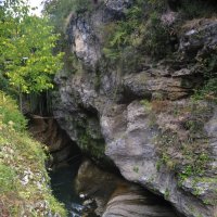 *** :: Марина Виноградова