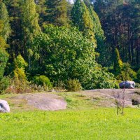 Ботанический сад. :: Alex 711402