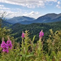 ЗАПАДНЫЙ КАВКАЗ :: Tata Wolf