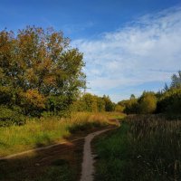 Бабье лето в Лосином острове :: Андрей Лукьянов