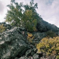 Горная вершина :: Андрей Хлопонин