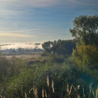 утро :: Константин Сафронов