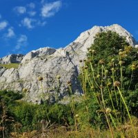 Пшехский водопад :: Tata Wolf