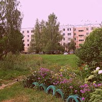 Цветы. :: Владимир Драгунский