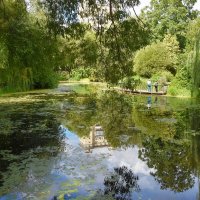 Москва. Август в Аптекарском огороде. :: Наташа *****