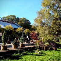 Теплицы и кадушки ,,,) :: Анатолий Колосов