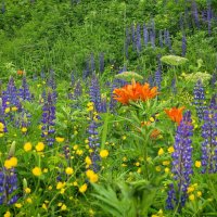 Палитра. :: fillarret-2