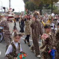 Рыси идут :: PRP 