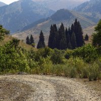 Не торопимся... :: LudMila Не торопимся... :: LudMila